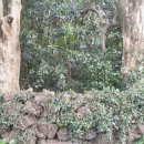 신흥2리마을 이미지