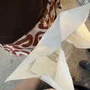 삼타왕