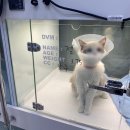 메이 동물병원 이미지