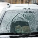 중앙공원 앞 이미지