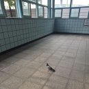 침입자군요 이미지
