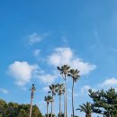 보룡농장 이미지