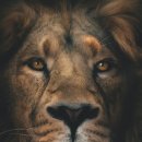 웰빙요리 이미지