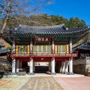 삼척 이미지