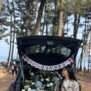 월영동256 이미지