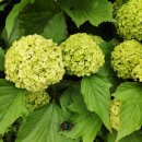 길목농장 이미지