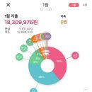 위플로 | 30대 맞벌이 부부의 사탄들린 가계부:::2026년 1월 생활비 1,800만원🥲 ::위플가계부