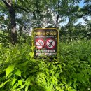 아단어린이공원 이미지