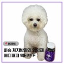 주)메디라인액티브코리아 | 메디퍼피 액티브 F 강아지 체지방 관리하기 비숑 영양제 추천