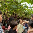 용인대호수태권도장 이미지