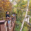 좌구산편의점 이미지