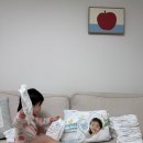 튼튼네이처 | 돌 아기 팬티형 기저귀 추천 11kg 아기 팸퍼스 터치 오브 네이처 5단계 후기