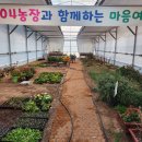 1004농장 이미지