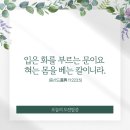 동방산소 이미지