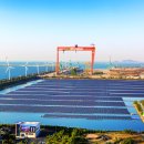 쿠키 태양광발전소 이미지