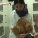 현씨농장 이미지