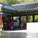 뿌리깊은나무 이미지