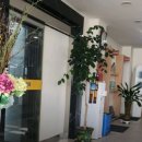 남종진다모의원 | 울산 남종진 다모의원 가 본 소감 및 후기