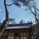 만덕통상(주) | 24/01/15 직지사의 뒷모습