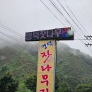 명덕잣나무집 이미지