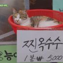 (주)바요 이미지