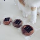 파티세리저스트 이미지