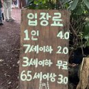 비밀의숲 | 제주 가볼만한 곳 비밀의숲 내돈내산 후기