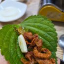 형제오리 이미지