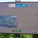 점마 이미지
