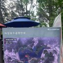 산천초목 | (내 돈 내산) 마장호수 레드브릿지카페 후기 (이제 출렁다리를 곁들인~~)