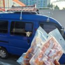 펫클럽 오남점 이미지