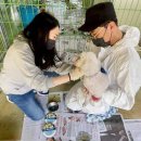 우리동물약품 이미지