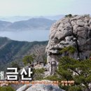 금산1954