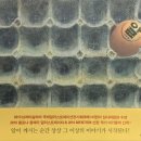 알이지