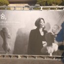 이영현 | 날 대신해서 우는 사람 가수 이영현콘서트 후기