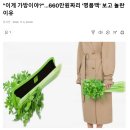 &#34;이게 가방이야?&#34;…660만원짜리 &#39;명품백&#39; 보고 놀란 이유 이미지