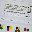 BD사이언스 100포 챌린지 3개월 솔직 후기, 꾸준함이 만든 작은 변화