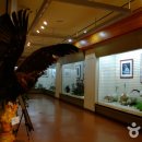 강원도산림박물관 이미지