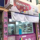 구피샵청주 이미지