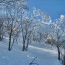 대덕산주유소 이미지