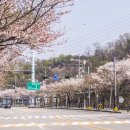 월문천1 이미지