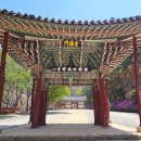 천년 이미지