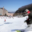 파인리조트 이미지