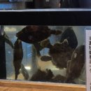 천보수산 | [블챌:왓츠인마이블로그] 엄마랑 후쿠오카 1박2일