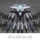 미쳤다..F22 인줄 알았다~ (급상승 인기영상) 이미지