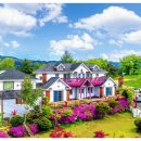 풍차랑 허브랑 이미지