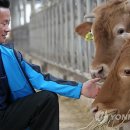 청석농장 이미지