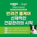 한국마즈(유) 스포츠경향
