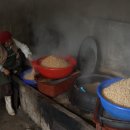 점순 농장 이미지