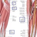 바름한의원 이미지